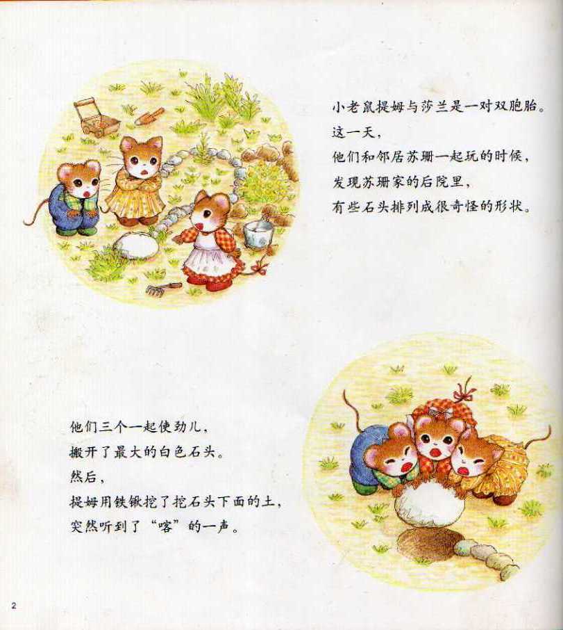 提姆与莎兰的藏宝图 (02),绘本,绘本故事,绘本阅读,故事书,童书,图画书,课外阅读